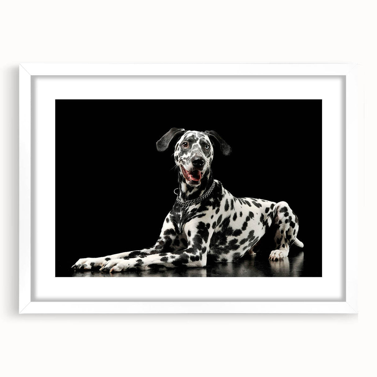 Framed Dalmatian wall art featuring a playful dog design, set in a white mat, perfect for modern home decor or dog lovers. Ideal for adding charm to any room.