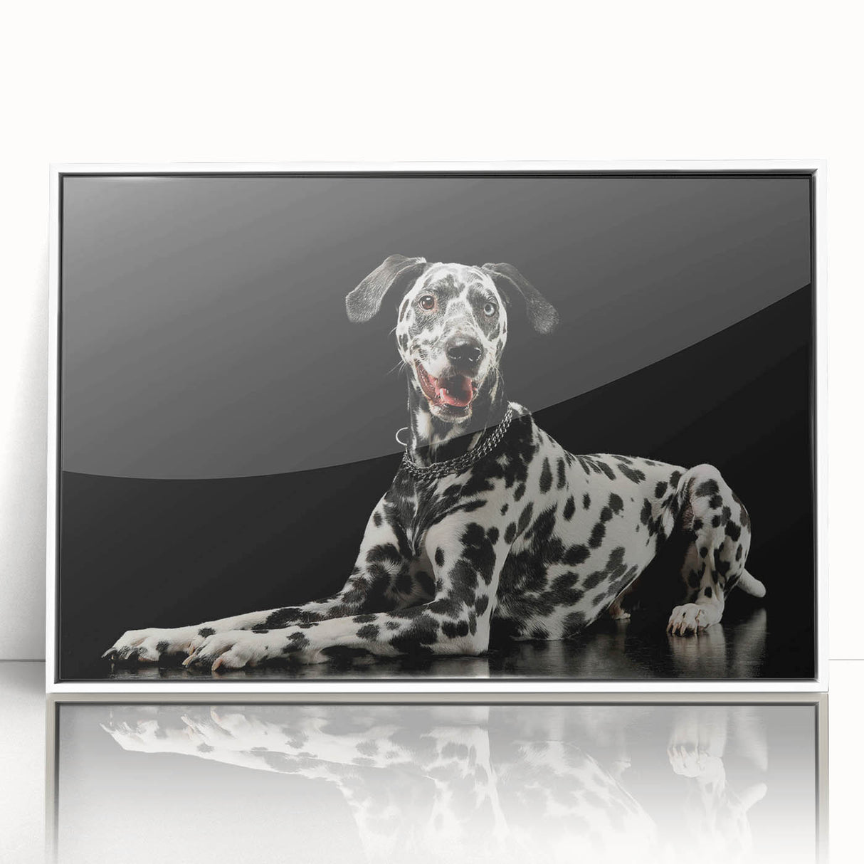 Framed acrylic wall art featuring a striking Dalmatian design, showcasing bold black and white spots on a clean white background, perfect for dog lovers’ decor.