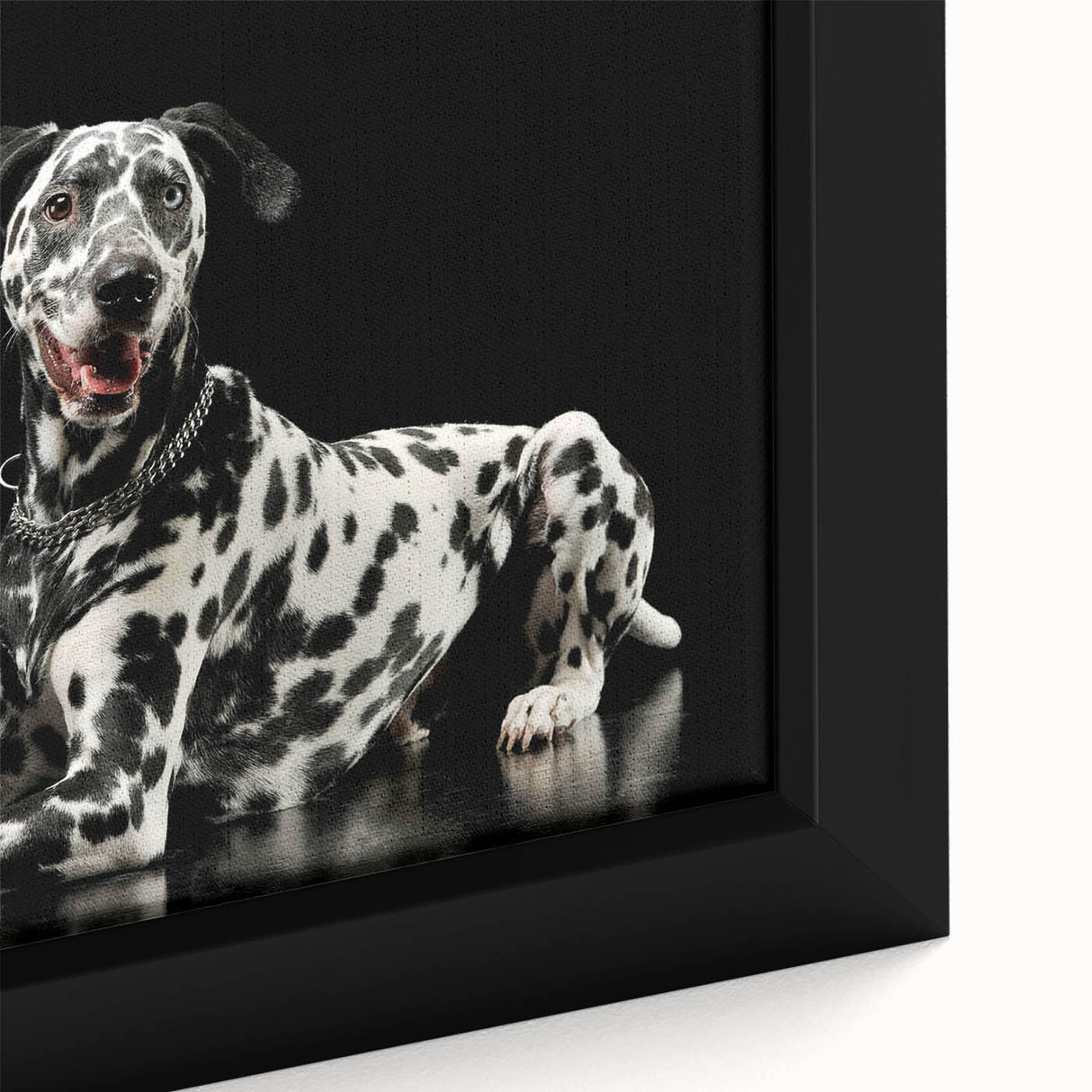 Close-up of a framed canvas wall art piece featuring a striking Dalmatian design, showcasing vibrant colors and intricate patterns, ideal for dog lovers' decor.