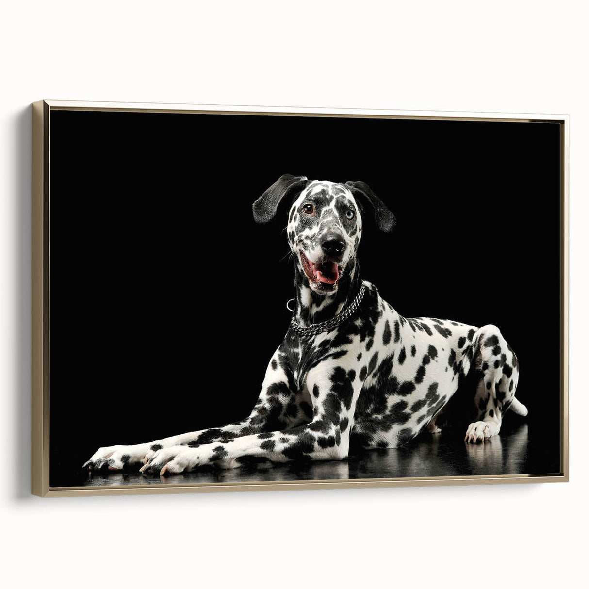 Framed canvas wall art showcasing a stylish Dalmatian design, featuring a gold frame and a side view perspective, perfect for pet lovers and home decor enthusiasts.