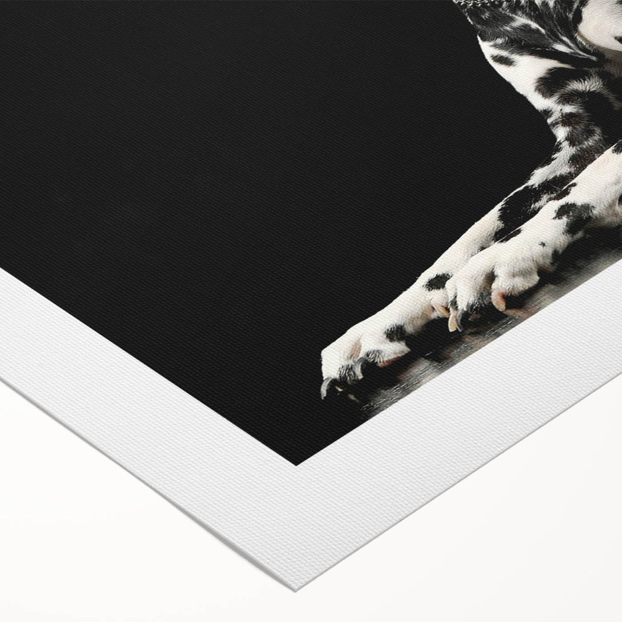 Dalmatian-themed rolled canvas wall art showcasing a vibrant and playful design, perfect for dog lovers, featuring a white background with black spots and artistic elements.