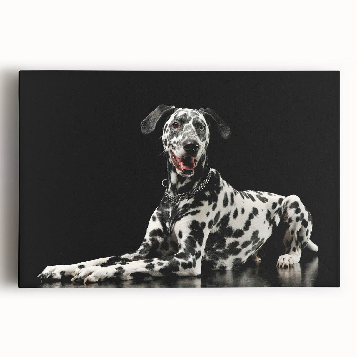 Stretched canvas wall art featuring a vibrant Dalmatian design in bold colors, perfect for dog lovers and home decor enthusiasts.