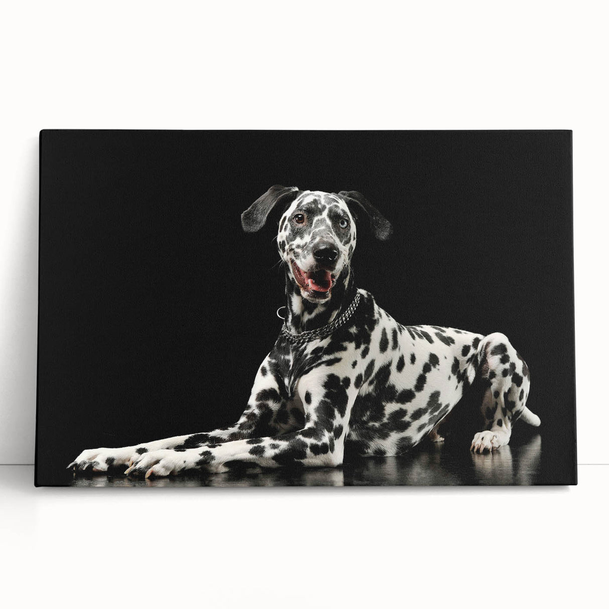 Stretched canvas wall art featuring a vibrant Dalmatian design, showcasing bold black spots on a white background, perfect for dog lovers and home decor.