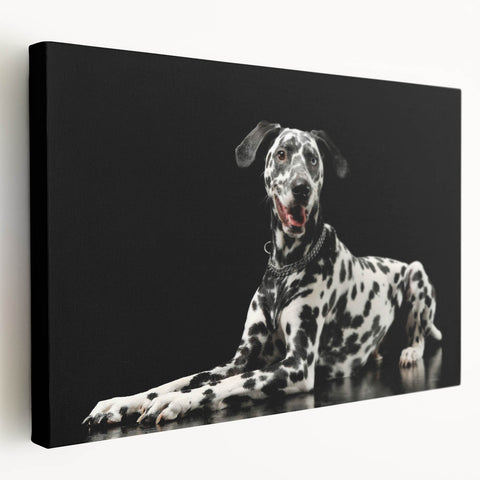 Stretched canvas wall art featuring a vibrant Dalmatian design, showcasing bold black and white spots against a neutral background, perfect for dog lovers' decor.