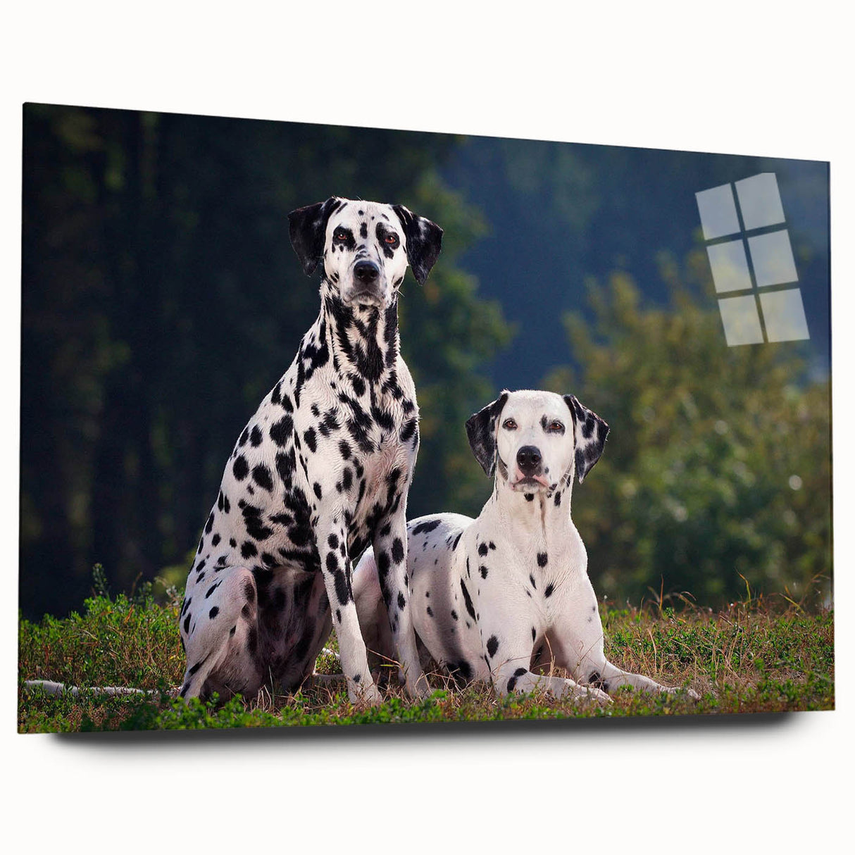 Acrylic wall art featuring a sleek side view of a Dalmatian design, showcasing vibrant colors and intricate details, perfect for dog lovers' decor.