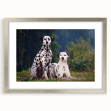 Framed wall art featuring a stylish Dalmatian design with a silver frame and mat, perfect for pet lovers and home decor enthusiasts, showcasing elegance and charm.