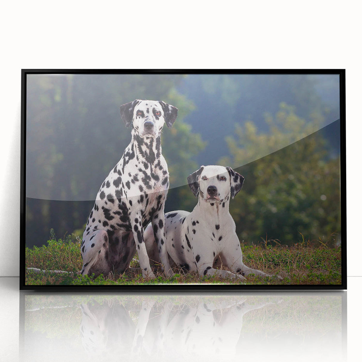 Framed acrylic wall art featuring a striking Dalmatian design, set against a sleek black background, ideal for dog lovers and modern home decor enthusiasts.