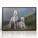 Framed acrylic wall art featuring a striking Dalmatian design, set against a sleek black background, ideal for dog lovers and modern home decor enthusiasts.