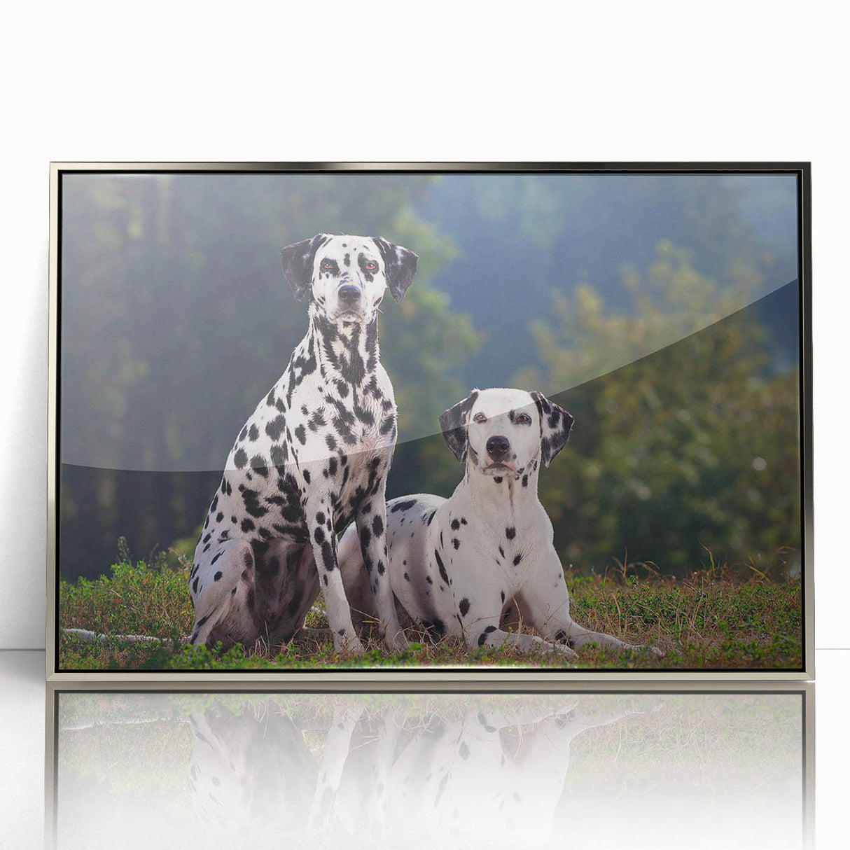 Framed wall art featuring a sleek silver-acrylic design showcasing a Dalmatian illustration, perfect for dog lovers and modern home decor.