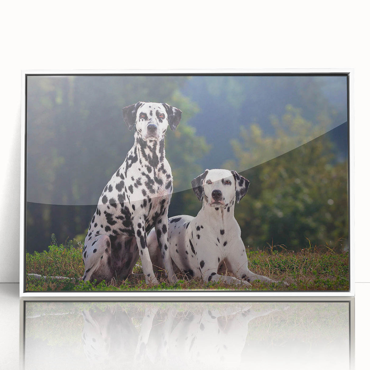 Framed wall art featuring a Dalmatian design in black and white, showcasing the dog's distinctive spotted coat against a white backdrop, ideal for pet lovers' decor.