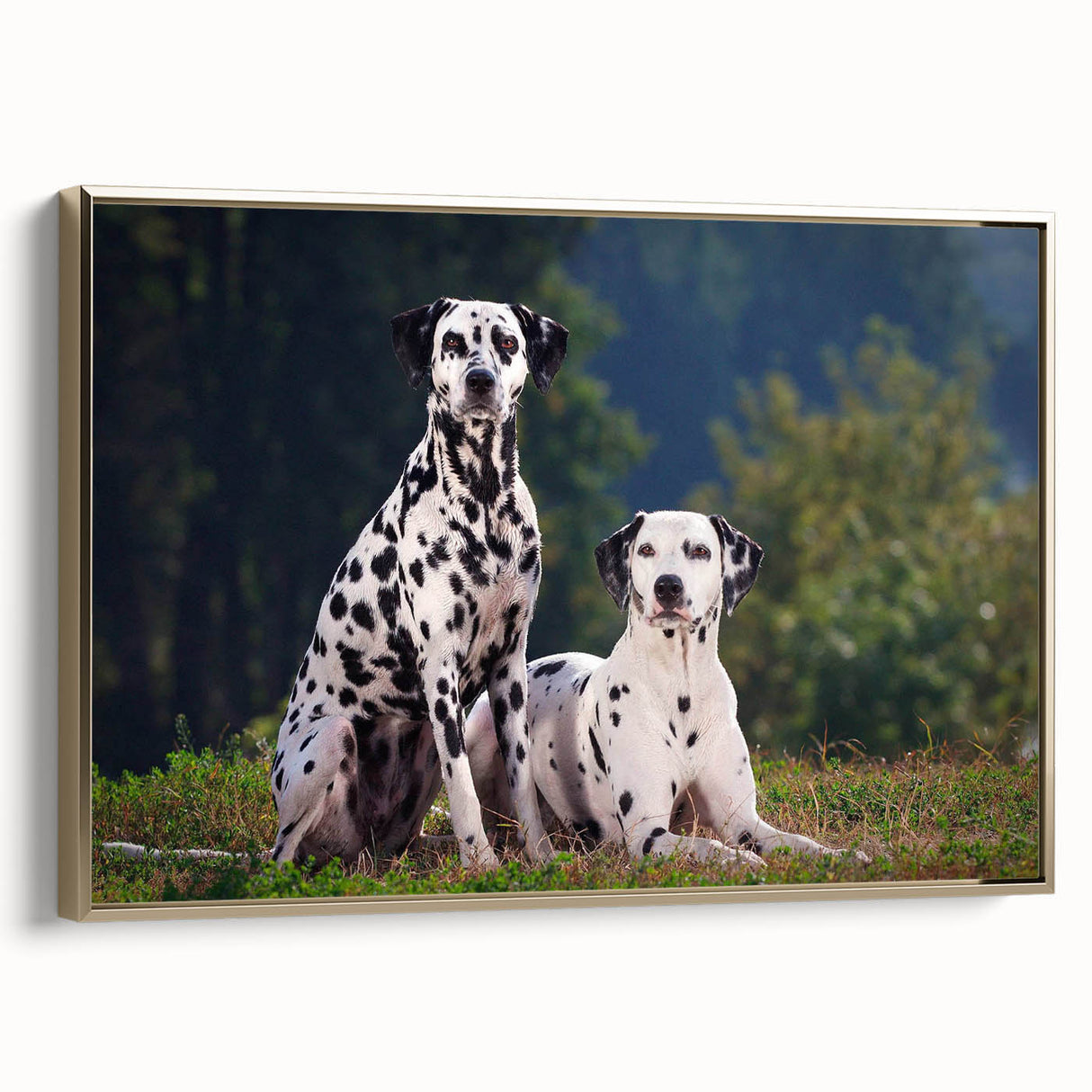 Framed wall art featuring a stylish Dalmatian design on canvas, showcasing a gold frame and a side view that highlights its modern aesthetic for pet lovers.
