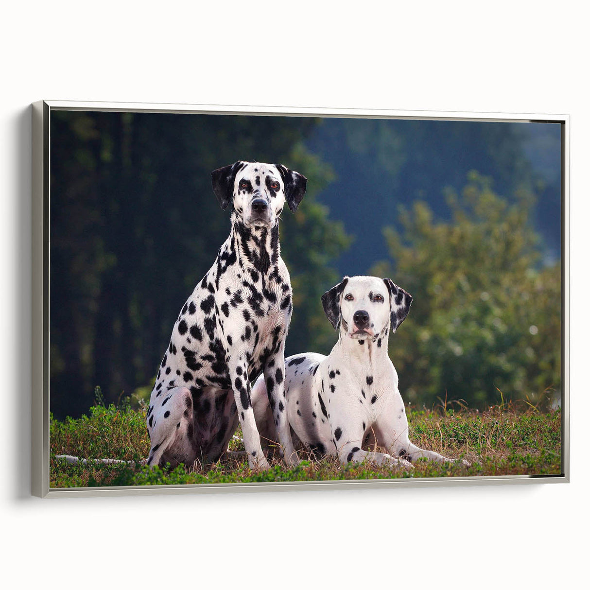 Framed wall art canvas featuring a stylish Dalmatian design in a silver frame, showcasing the dog in a playful pose against a minimalist background, perfect for pet lovers.