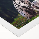 Dalmatian wall art design on rolled canvas, showcasing a playful spotted dog motif in vibrant colors, perfect for home decor and pet lovers.