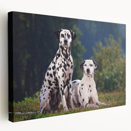Stretched canvas wall art showcasing a vibrant Dalmatian design in a side view, featuring bold colors and intricate details, perfect for dog lovers.