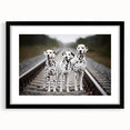 Framed Dalmatian wall art design showcasing a striking black and white spotted dog, elegantly matted and displayed, perfect for dog lovers' home decor.