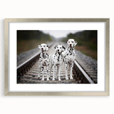 Framed wall art featuring a striking Dalmatian design in a sleek silver frame with a white mat, perfect for dog lovers and modern home décor.