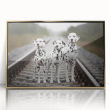 Framed wall art featuring a striking Dalmatian design with a gold-accented frame, showcasing a front view of the playful dog, perfect for home decor.
