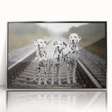 Framed wall art collection featuring a stylish Dalmatian design with a sleek silver frame, showcasing vibrant colors and intricate details, perfect for dog lovers.