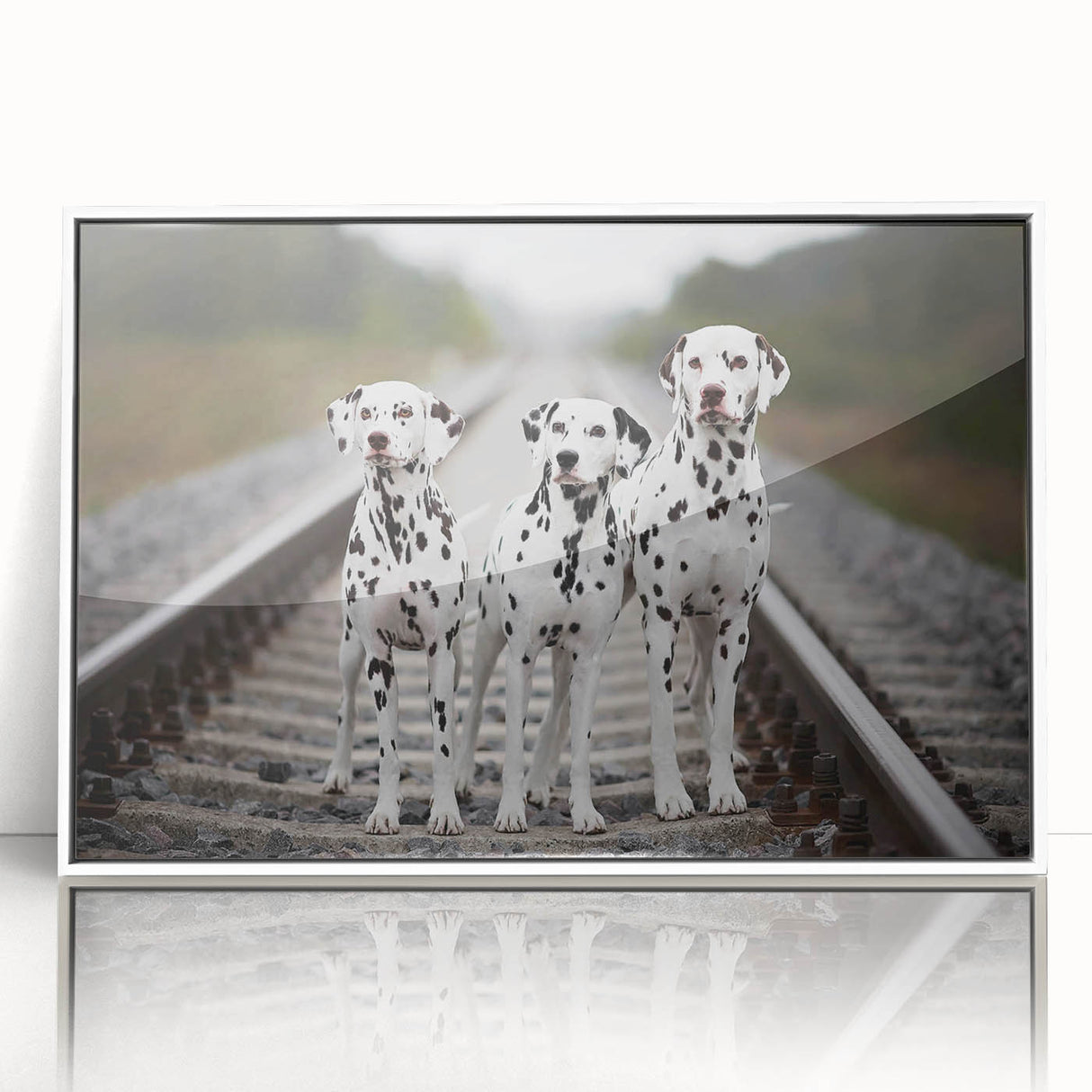 Framed wall art featuring a stylish Dalmatian design in white acrylic, showcasing the dog's distinctive black spots and playful expression, perfect for modern decor.