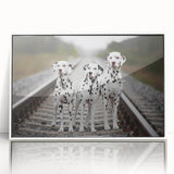 Framed wall art featuring a stylish Dalmatian design in white acrylic, showcasing the dog's distinctive black spots and playful expression, perfect for modern decor.