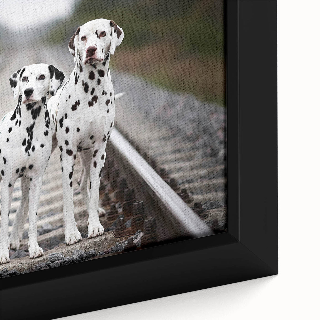Close-up of a framed canvas wall art piece showcasing a vibrant Dalmatian design with intricate details, perfect for dog lovers and modern decor.