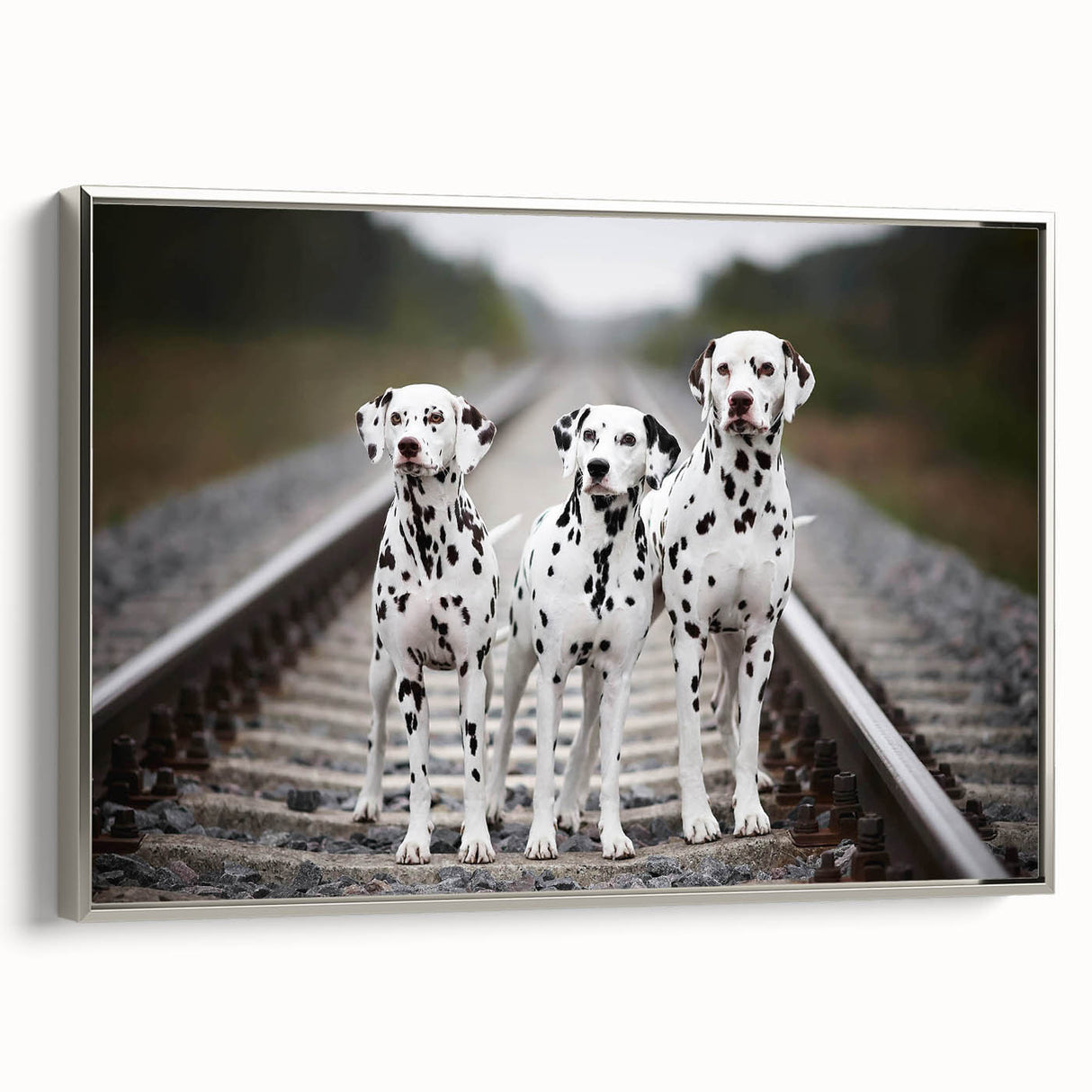 Framed wall art featuring a Dalmatian design on canvas, showcasing a silver frame and a side view perspective. Ideal for dog lovers and home decor enthusiasts.