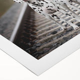 Rolled canvas wall art showcasing a vibrant Dalmatian design, featuring bold black and white spots on a colorful background, ideal for dog lovers' decor.