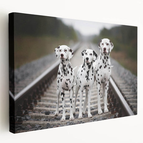 Stretched canvas wall art showcasing a striking Dalmatian design with vibrant colors and detailed textures, perfect for dog lovers and home decor enthusiasts.