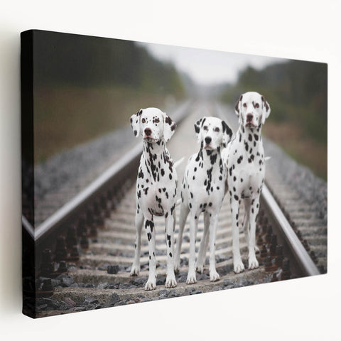Stretched canvas wall art showcasing a striking Dalmatian design with vibrant colors and detailed textures, perfect for dog lovers and home decor enthusiasts.