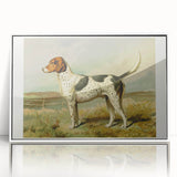 Framed acrylic wall art featuring a striking Dalmatian design in a contemporary white frame, ideal for dog lovers and modern home decor. The artwork showcases vibrant colors and detailed illustrations that enhance any room's aesthetic.