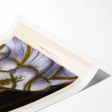 Extra large wall art featuring line art flowers in black on a white background, rolled print.