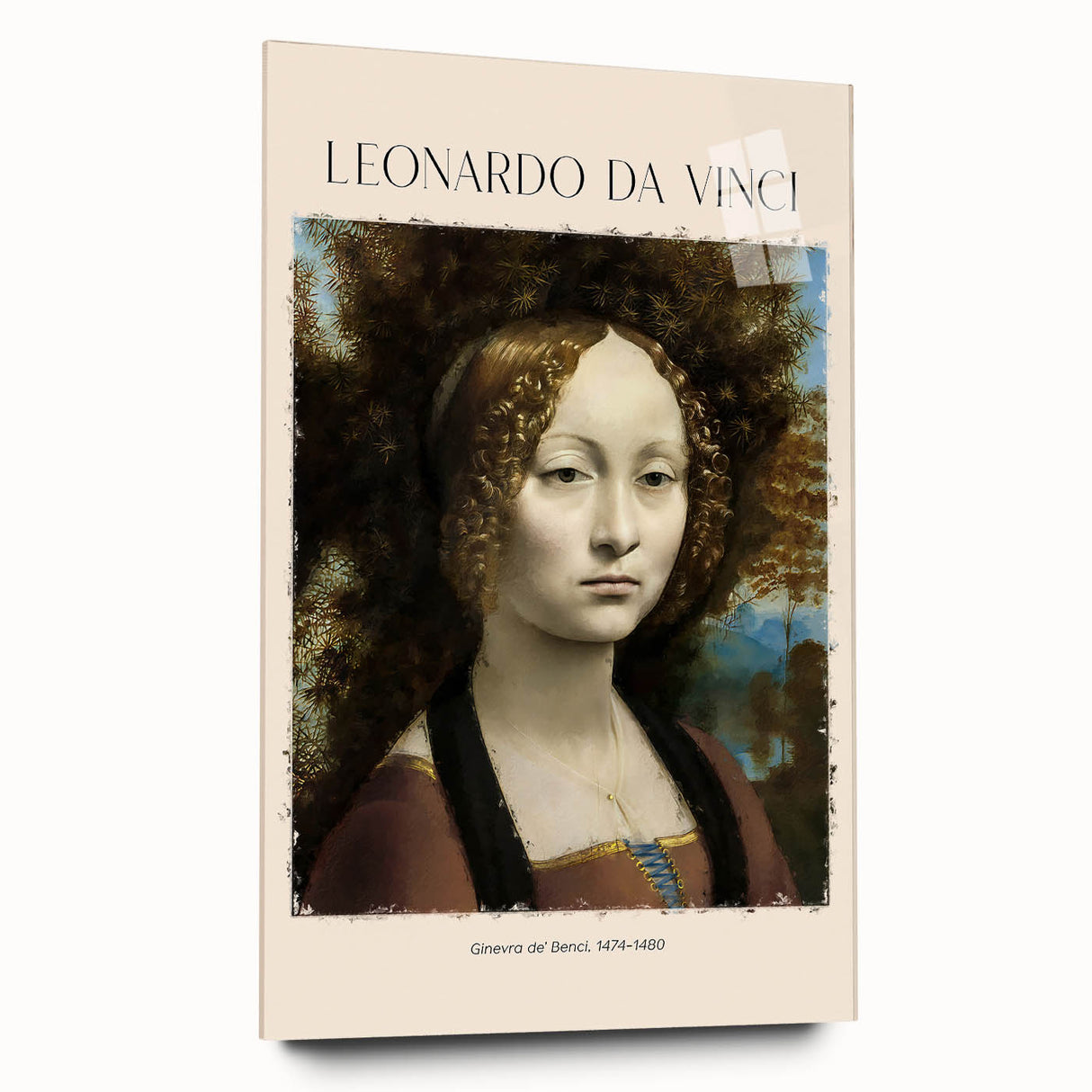 Leonardo da Vinci-inspired large abstract art print on acrylic glass, showing muted earth tones.