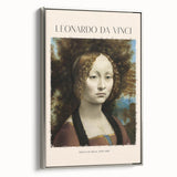 Vintage poster art of Leonardo da Vinci on a framed canvas, featuring muted black and colorful art.