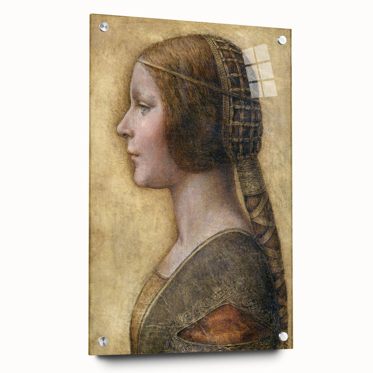 Acrylic print of a Leonardo da Vinci design, featuring muted earth tones, ideal for dining room decor.
