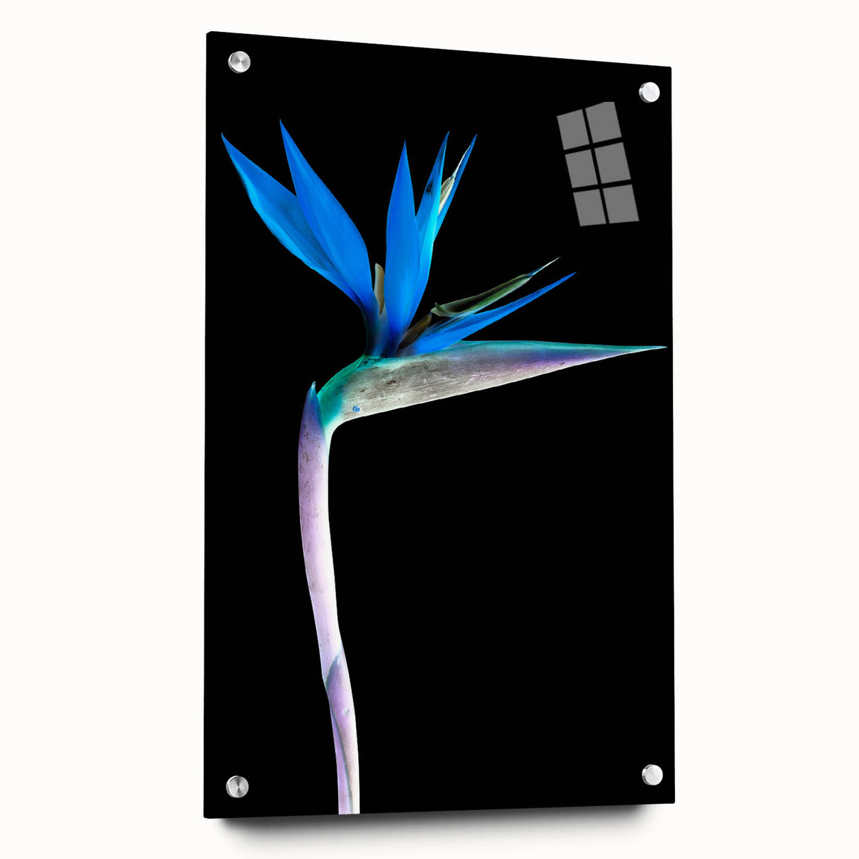 Acrylic wall art showcasing a vibrant bird of paradise design with floral elements, displayed from the side with decorative pins, perfect for brightening any space.