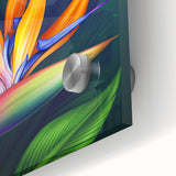 Vibrant close-up of a botanical wall art piece featuring a striking Bird of Paradise design, showcasing rich colors and intricate details, ideal for home decor.