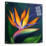Acrylic glass wall art showcasing a vibrant Bird of Paradise design with colorful flowers, accented by decorative pins, ideal for modern home decor.