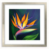Botanical wall art featuring a vibrant bird of paradise design in a silver frame with a mat, ideal for home décor. Perfect for nature enthusiasts and modern interiors.