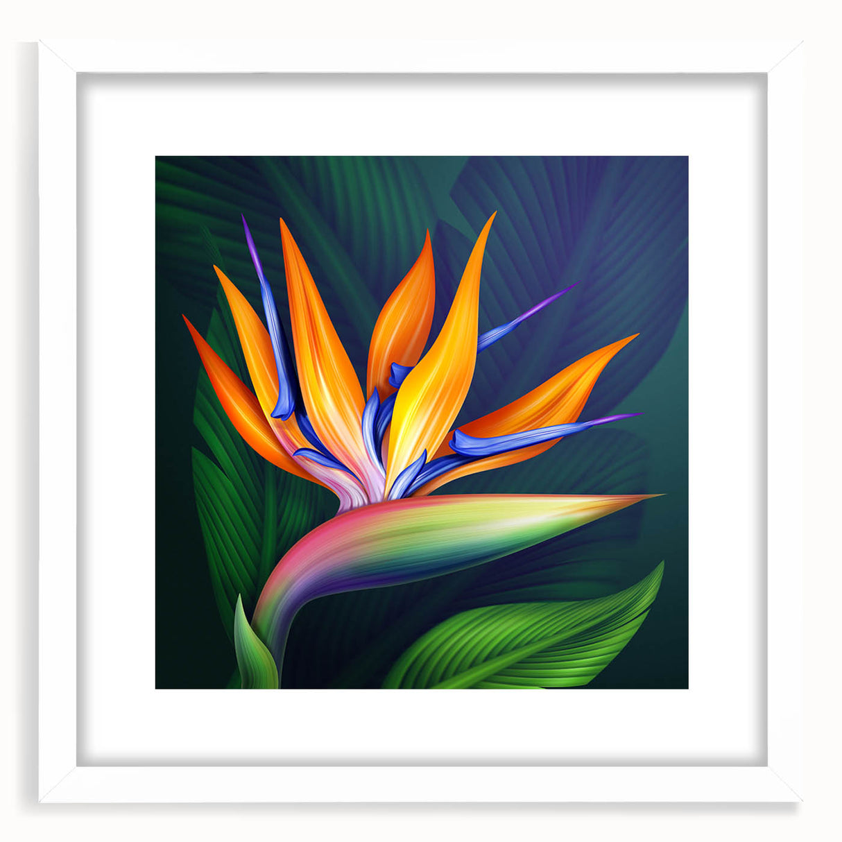 Framed botanical wall art featuring a vibrant Bird of Paradise design in a white mat, ideal for home decor or gallery display, enhancing any room's aesthetic.