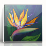Framed wall art showcasing a vibrant Bird of Paradise design with colorful flowers, set against a white background, perfect for botanical decor enthusiasts.