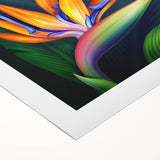 Vibrant botanical wall art featuring a striking Bird of Paradise design on rolled canvas, showcasing vivid colors and intricate floral details, perfect for home decor.