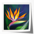 Vibrant rolled print of a botanical Bird of Paradise design showcasing rich colors and intricate details, ideal for enhancing home decor aesthetics.