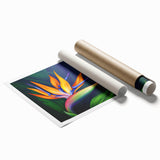 Vibrant wall art print featuring a detailed botanical design of a bird of paradise, showcasing rich colors and intricate floral patterns, rolled for easy display.