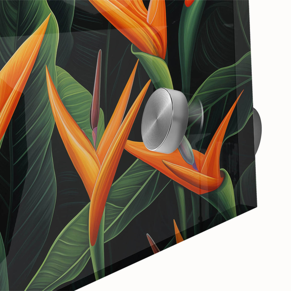Close-up of vibrant Bird of Paradise floral wall art design, showcasing bold colors and intricate details on acrylic glass, perfect for modern decor.