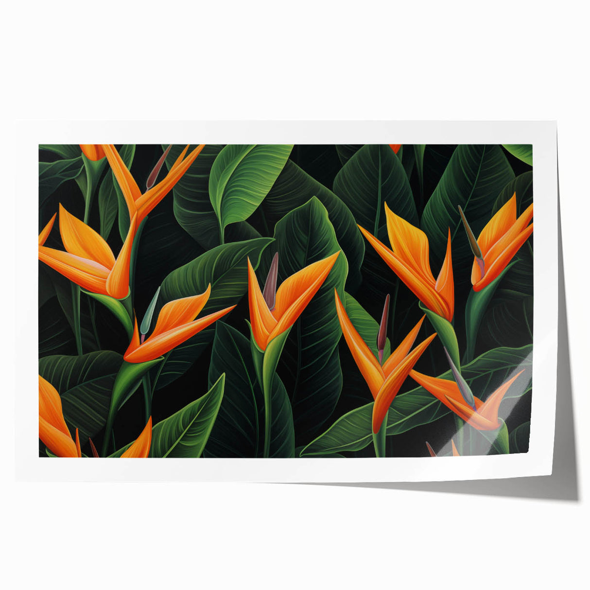 Vibrant Bird of Paradise botanical wall art print showcasing bold colors and intricate floral details, rolled for easy framing and display in home decor.