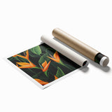 Vibrant rolled print of a botanical Bird of Paradise design, showcasing lush tropical flowers in vivid colors, ideal for enhancing modern home decor.