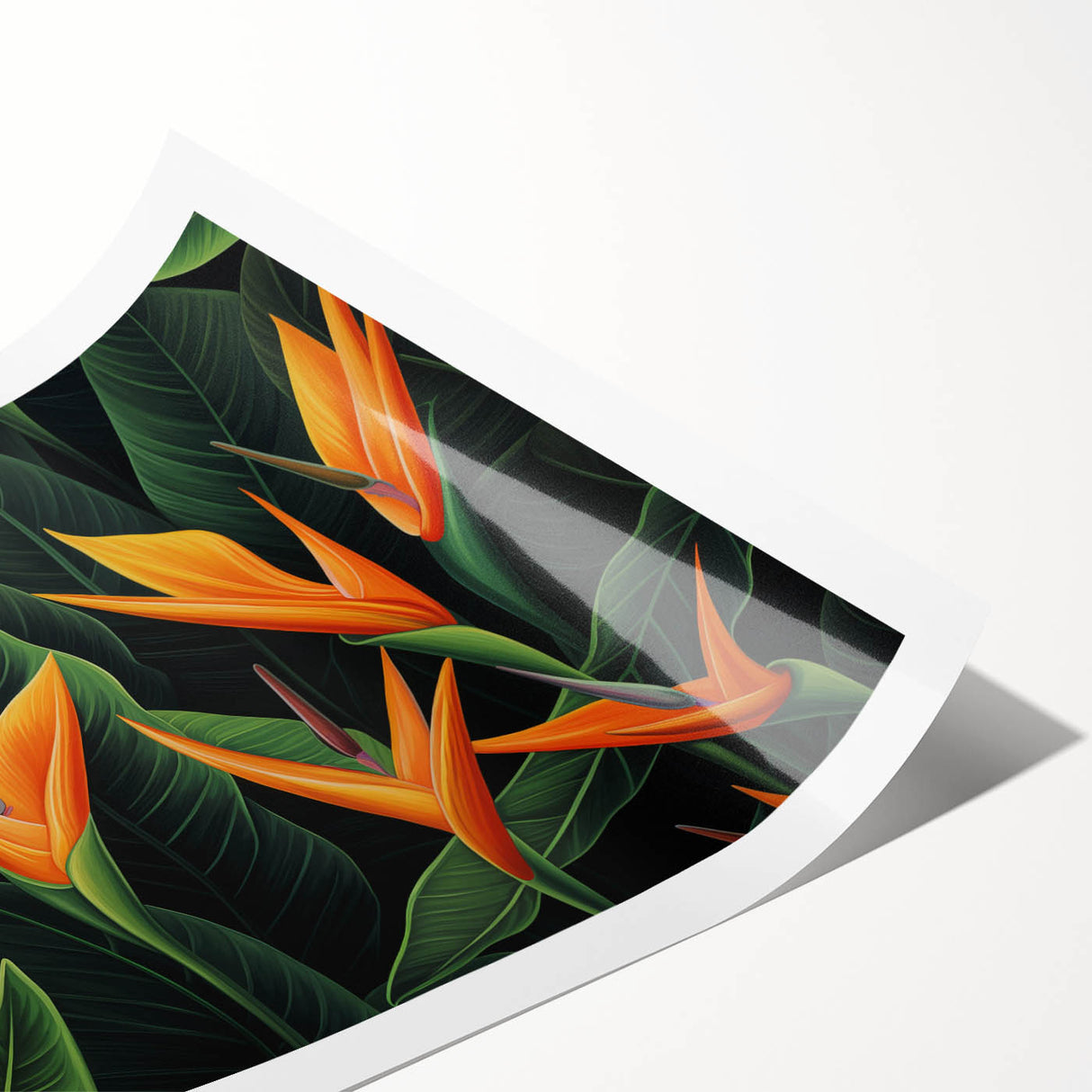 Vibrant Bird of Paradise wall art print showcasing colorful tropical flowers, elegantly rolled and packaged for delivery, perfect for home decor and art enthusiasts.