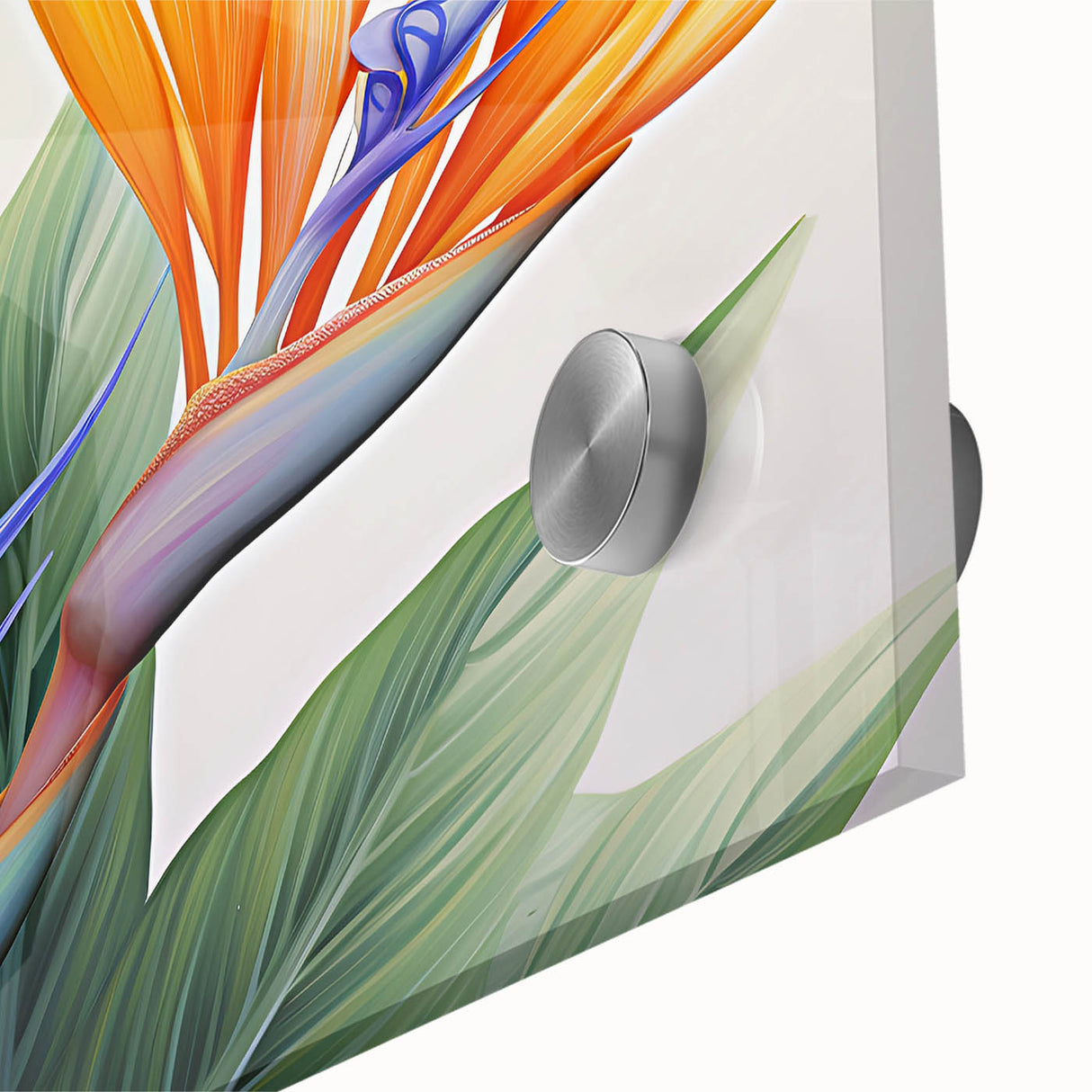 Close-up of a vibrant Bird of Paradise botanical wall art design, showcasing intricate floral details and vivid colors on acrylic glass, ideal for home decor.