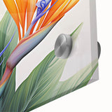 Close-up of a vibrant Bird of Paradise botanical wall art design, showcasing intricate floral details and vivid colors on acrylic glass, ideal for home decor.