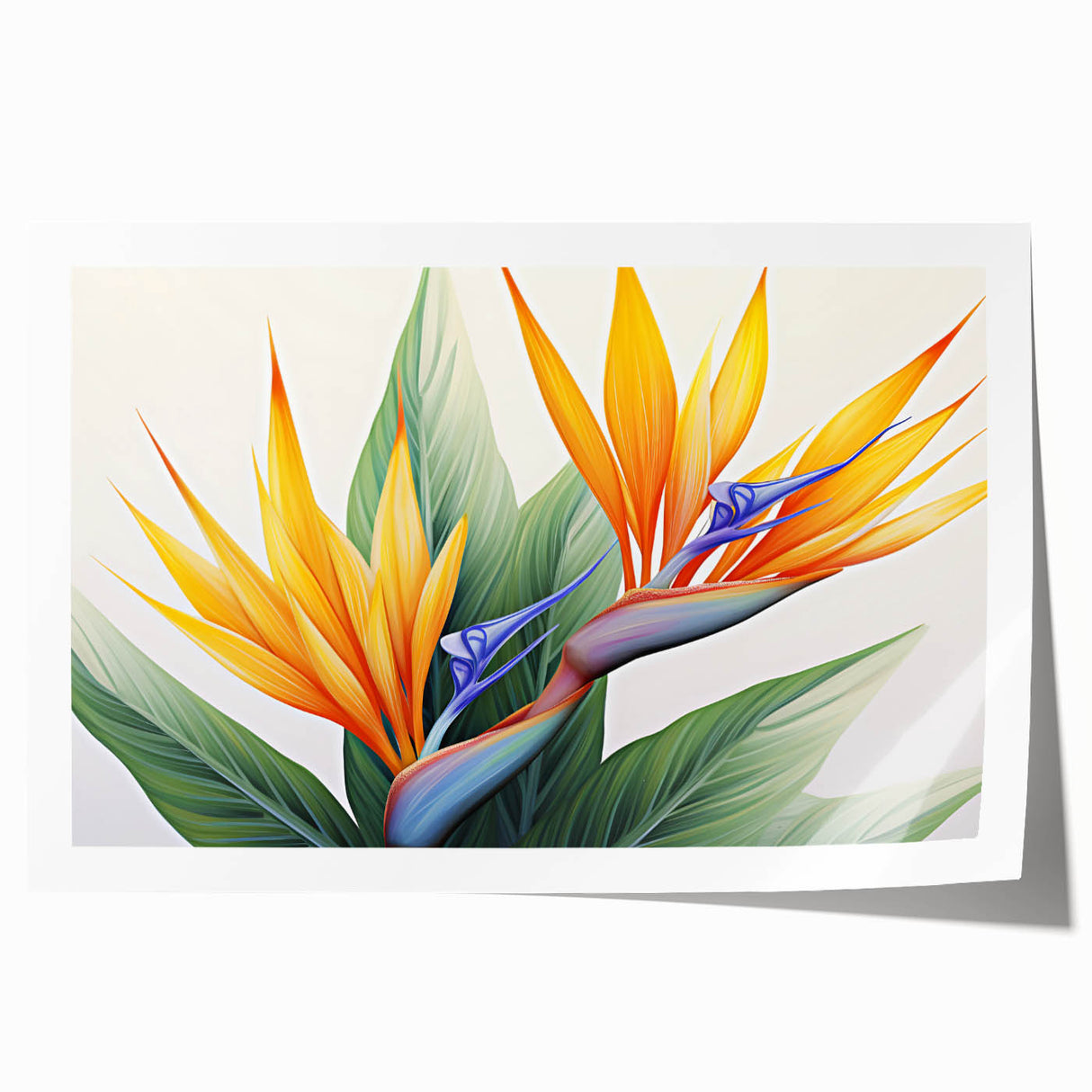 Vibrant botanical wall art featuring a Bird of Paradise design in rich colors, rolled and ready for framing, ideal for enhancing home decor aesthetics.